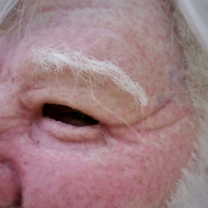 Santa Claus Realistic Mask — Christmas Costume